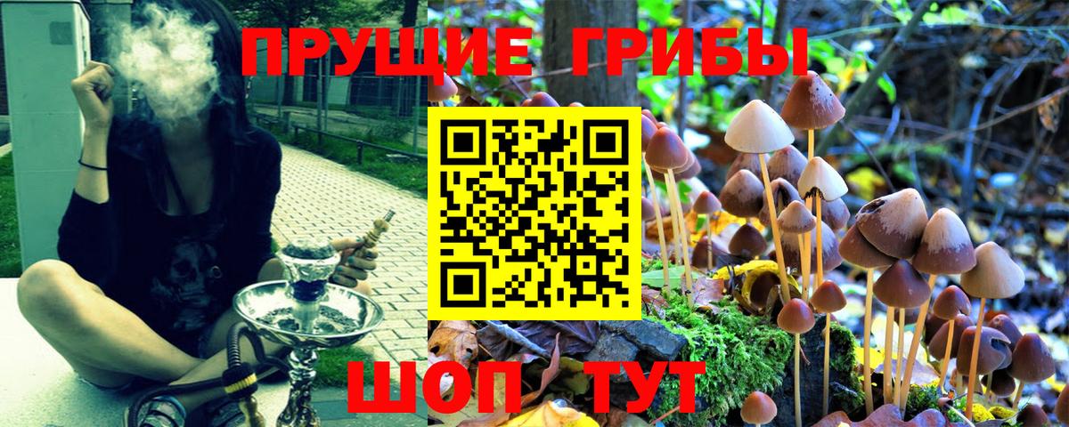 Псилоцибиновые грибы ЛСД Тольятти