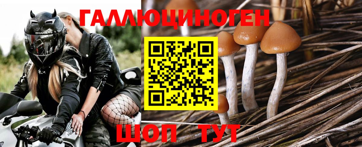 Псилоцибиновые грибы Psilocybine cubensis  Вход с VPN  Тольятти  как найти закладки  Псилоцибиновые грибы ЛСД 